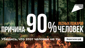 Останови огонь Останови огонь.